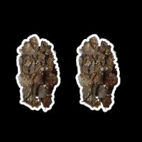 Pedra de Fel Calcária