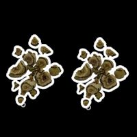 Pedra de Fel Calcária